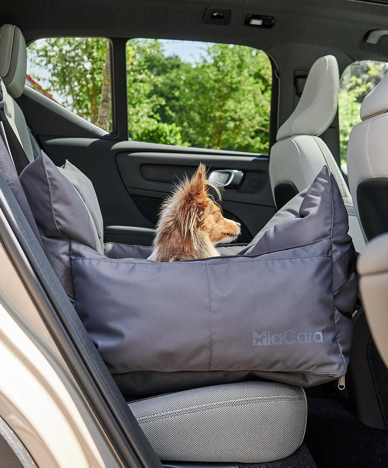 Reisebetten & Autositze