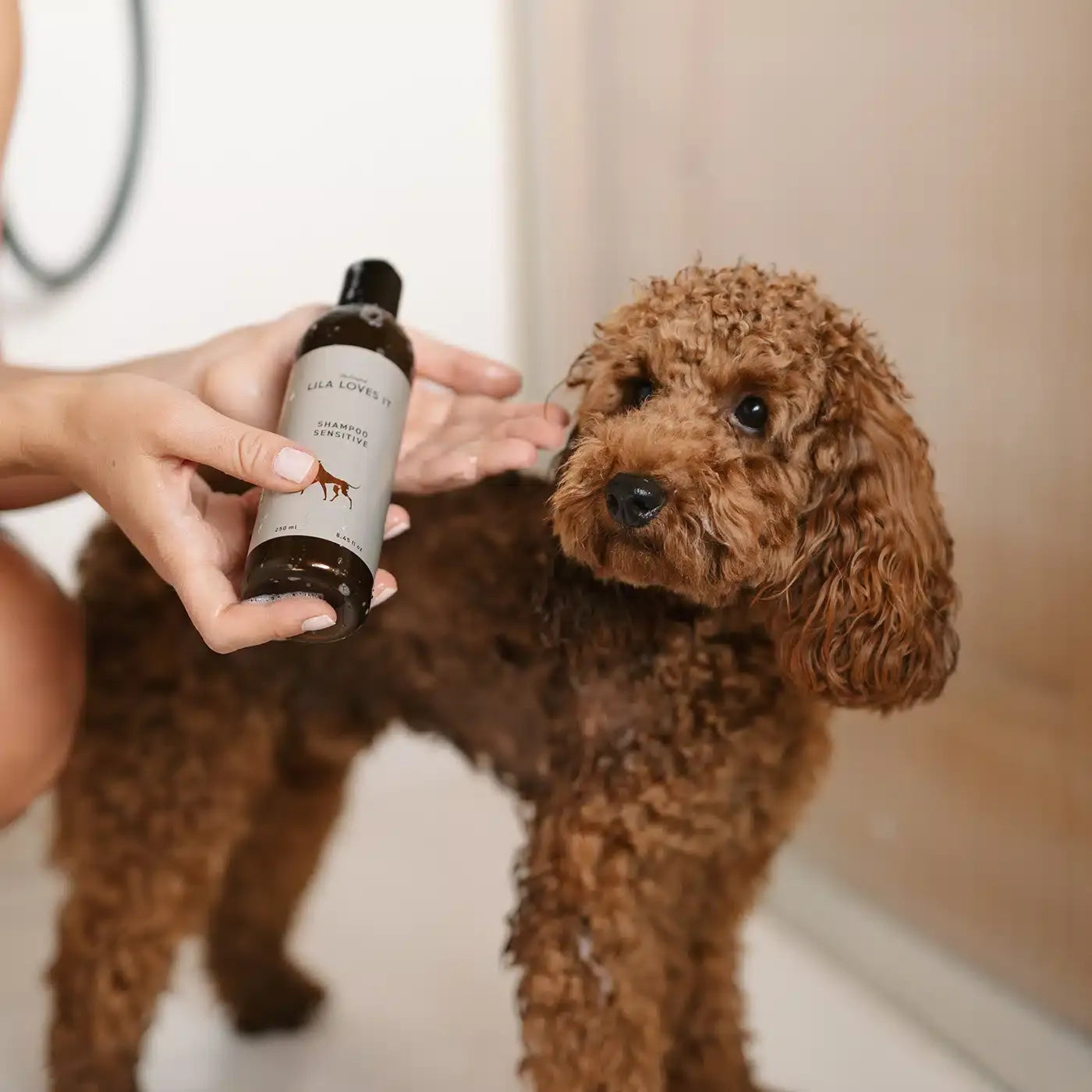 Shampoo & Conditioner