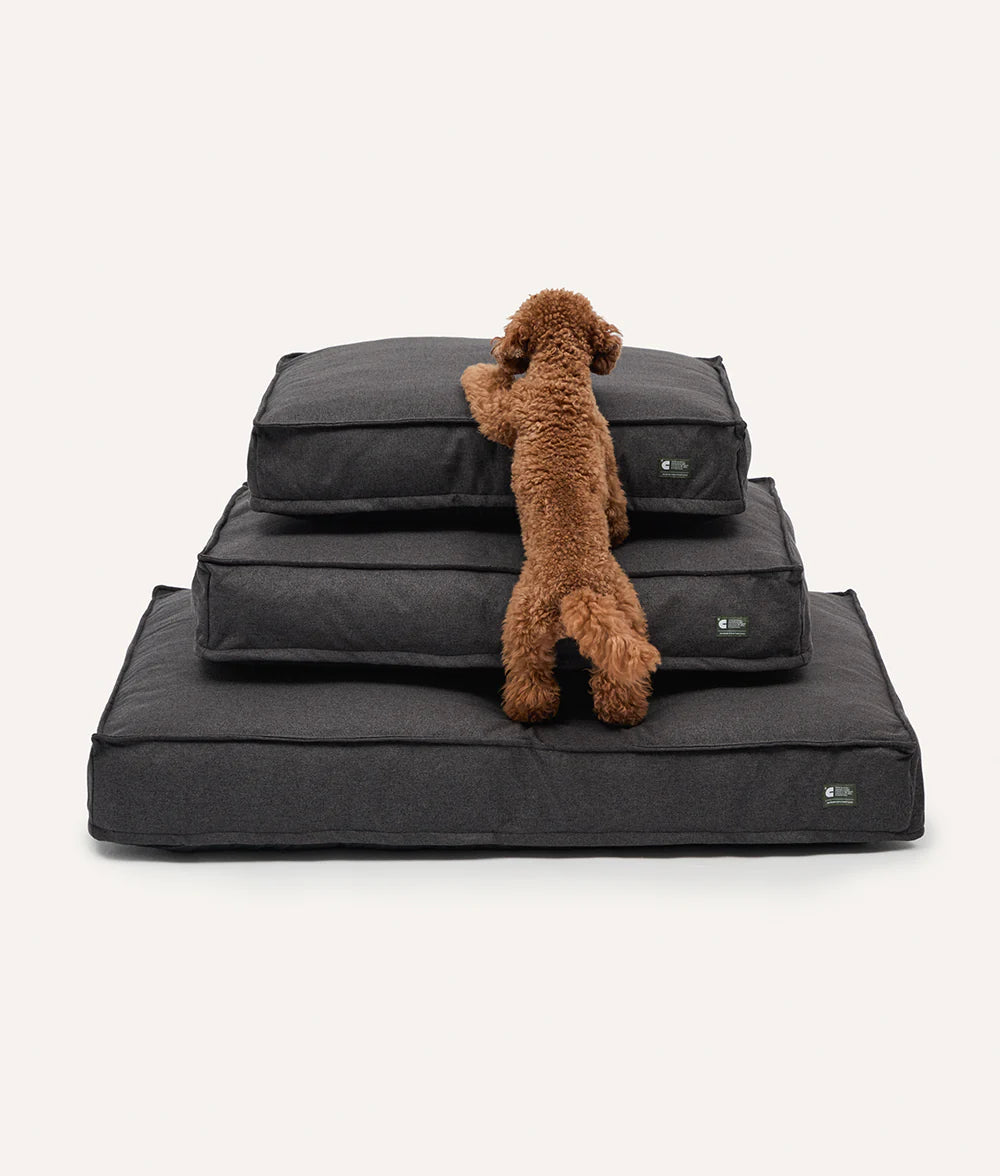 Hundebett Cuadra Anthrazit