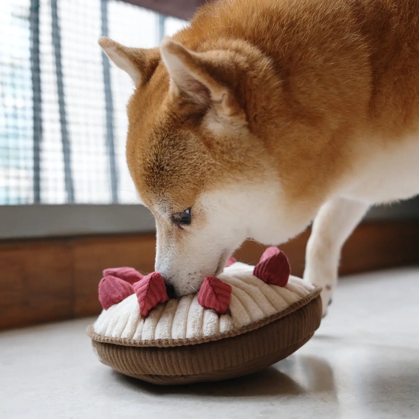 Hundespielzeug Schnüffelkuchen Berry Pie