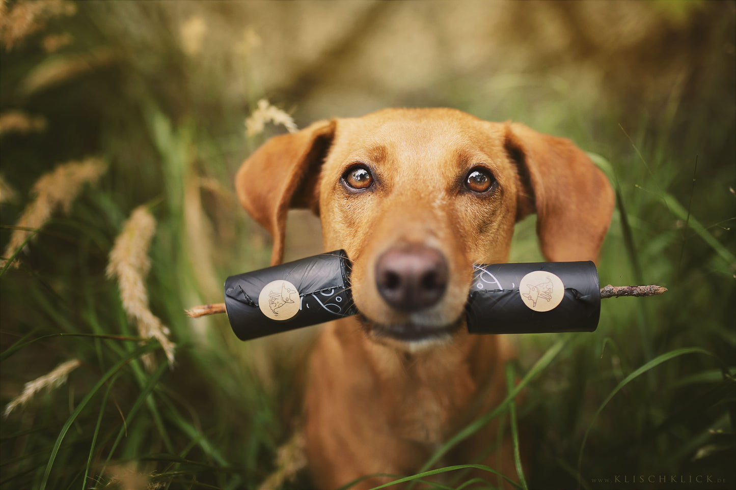 Biologisch abbaubare Hundekotbeutel - mit Henkel