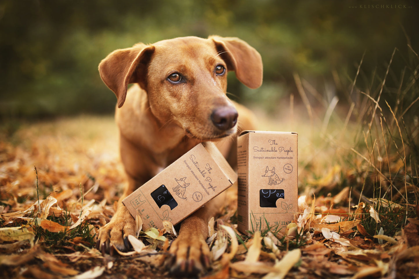 Biologisch abbaubare Hundekotbeutel - mit Henkel