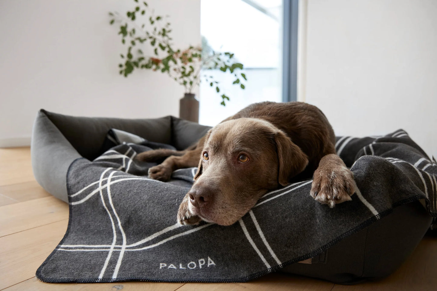 Hundebett Fred Anthrazit