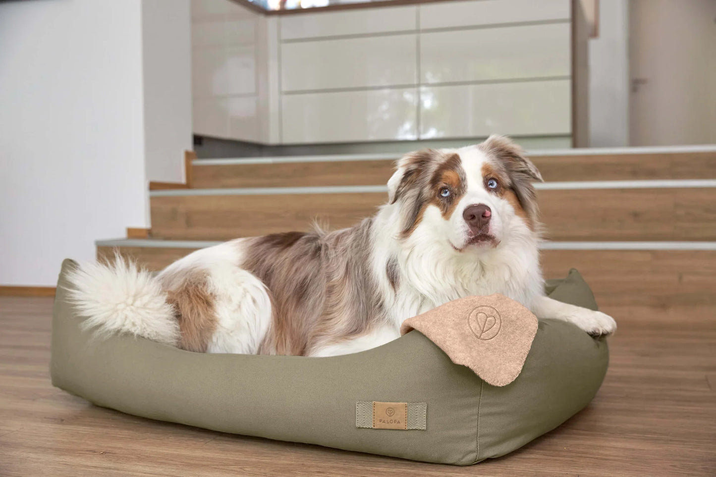 Hundebett Fred Salbei
