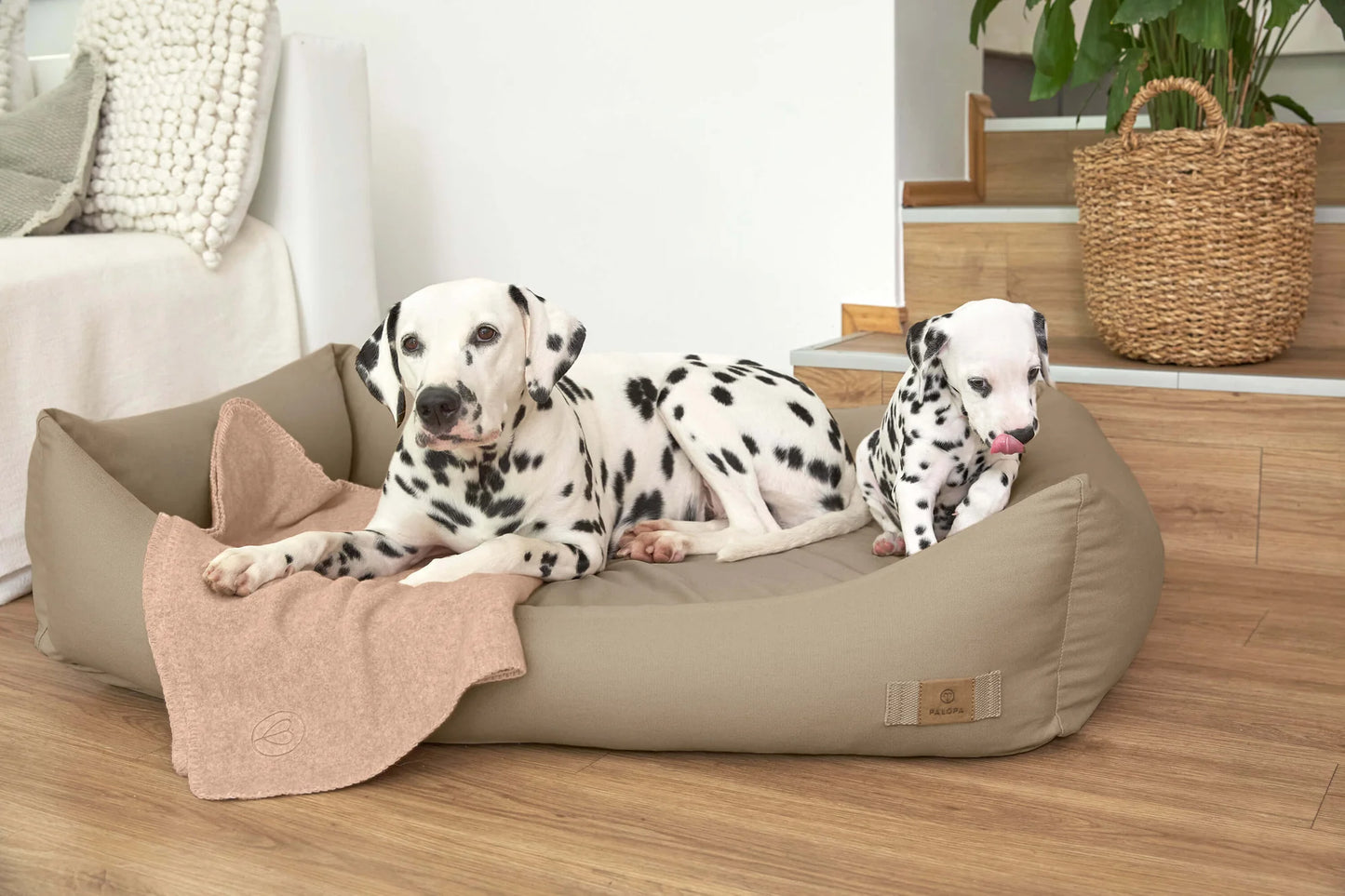 Hundebett Fred Humus