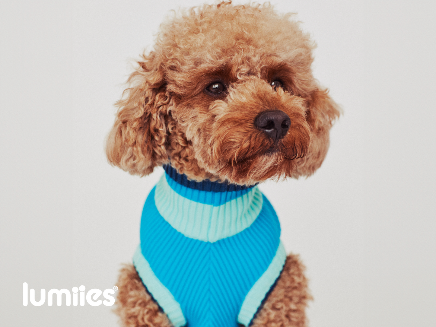 Hundepullover The Glow Jumper Crystal Sky