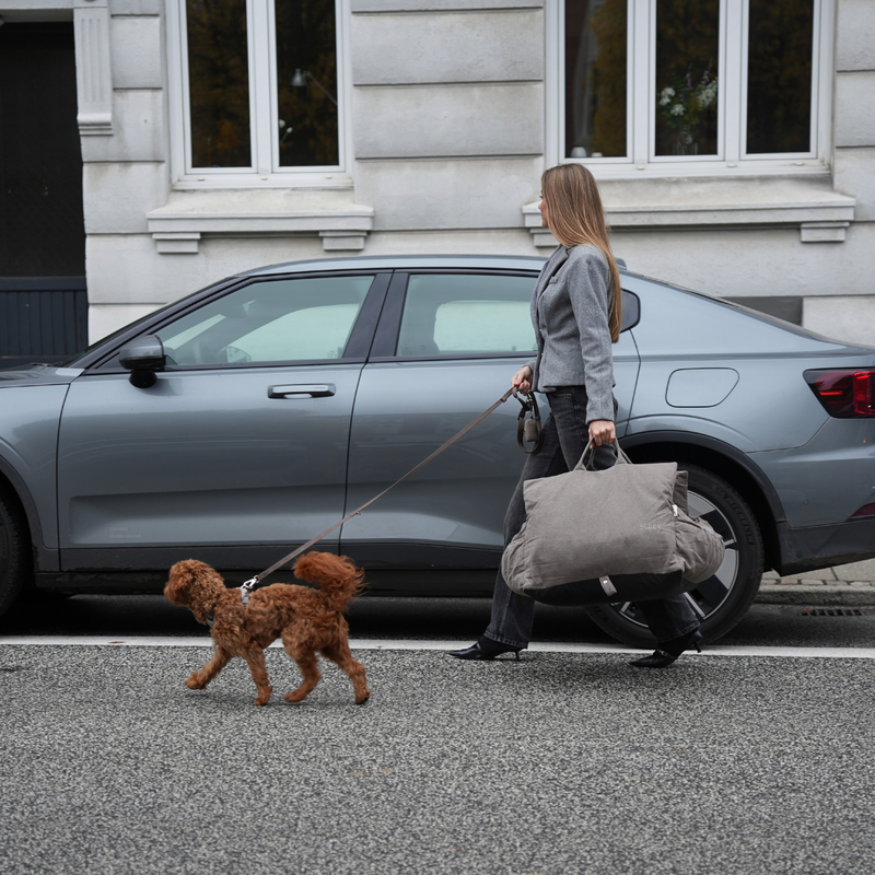 3-in-1 Hundeautositz und Reisebett Lara 2.0 Taupe