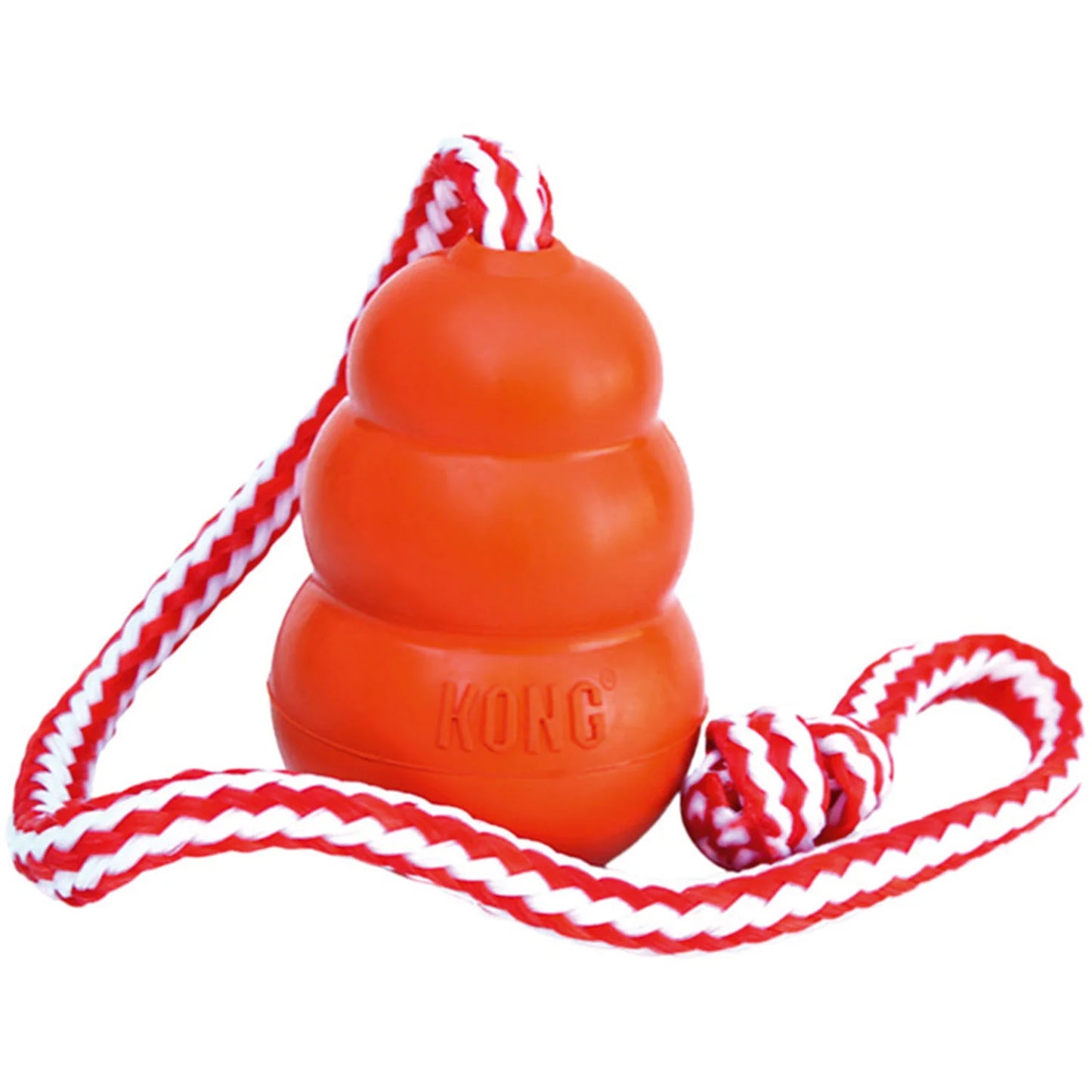 Hundespielzeug Aqua