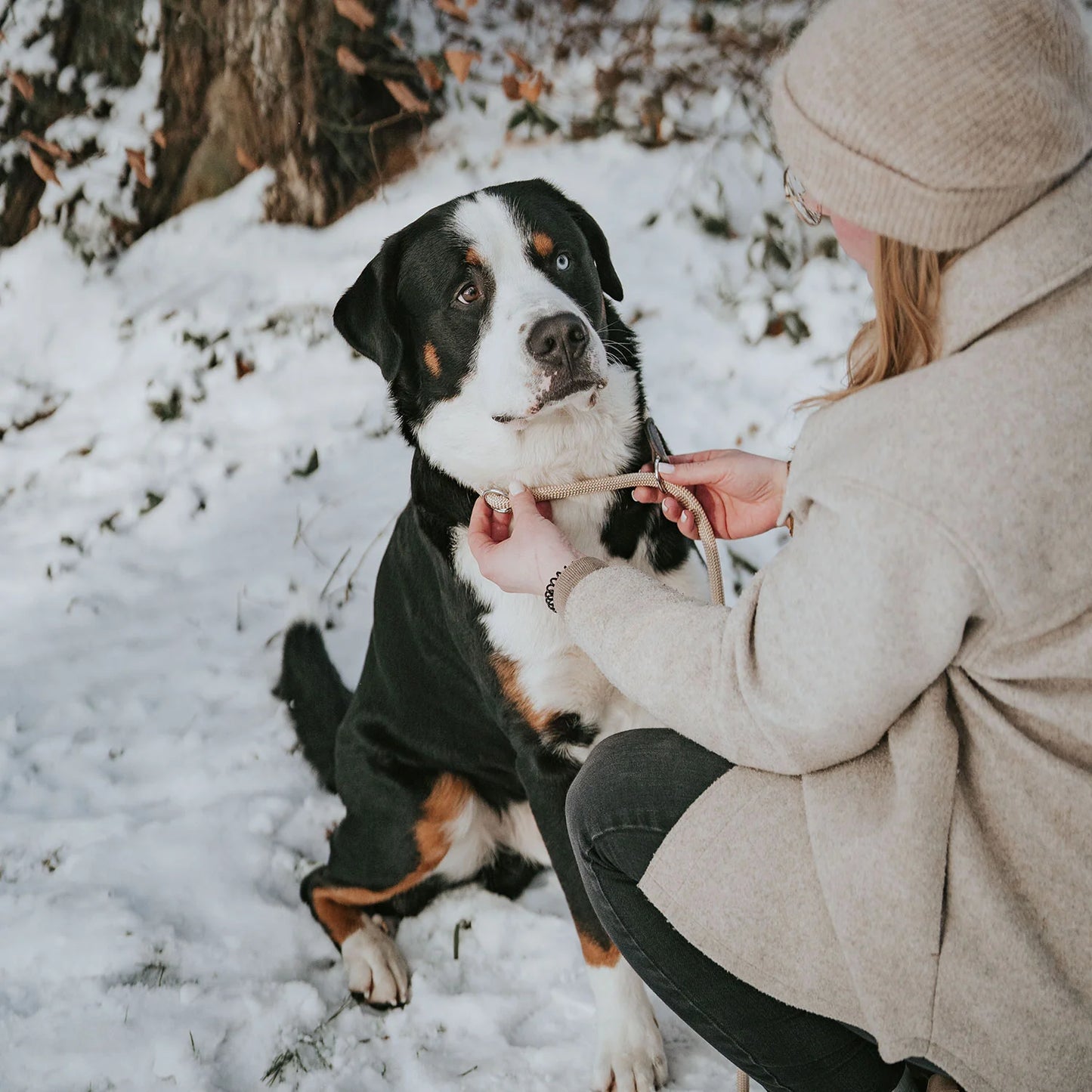 Retriever-Leine Freestyle Orange