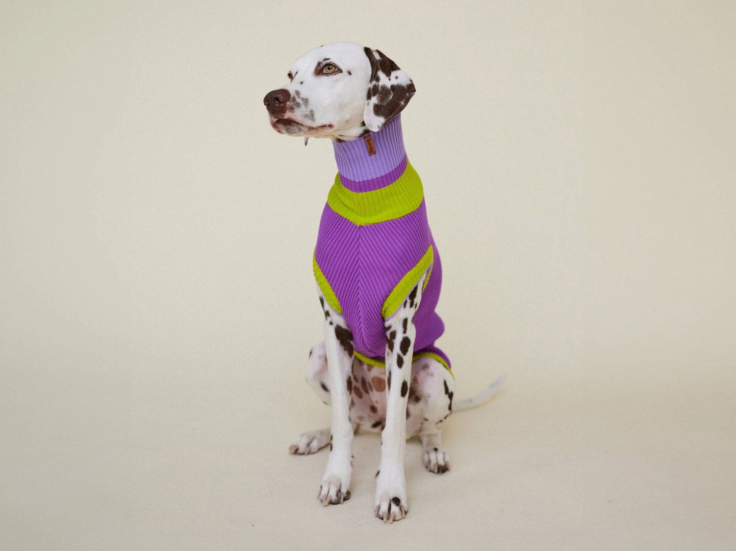 Hundepullover The Glow Jumper Violett