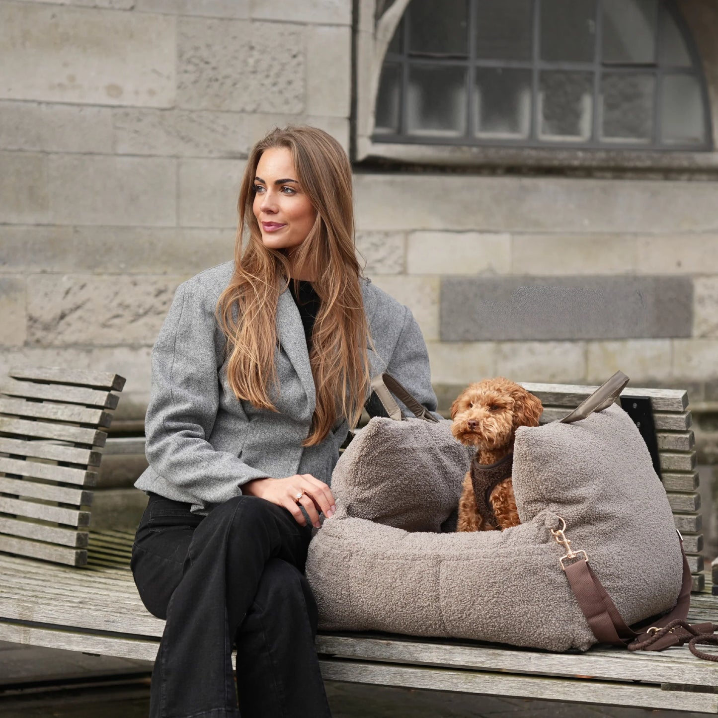 3-in-1 Hundeautositz und Reisebett Lara Teddy 2.0 Taupe