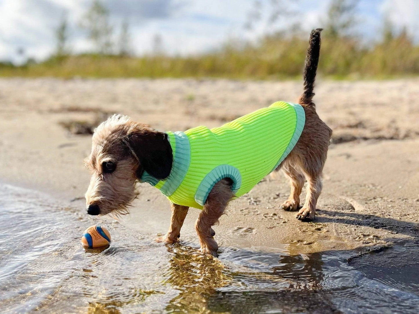 Hundepullover The Glow Jumper Neon Matcha