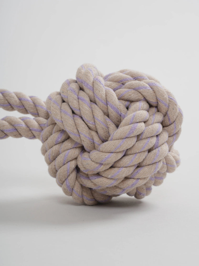 Hundespielzeug Tauball Taupe/Purple