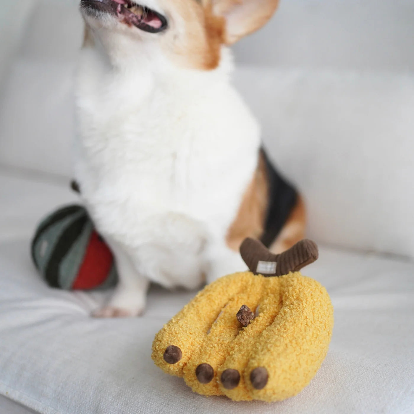 Hundespielzeug Banane