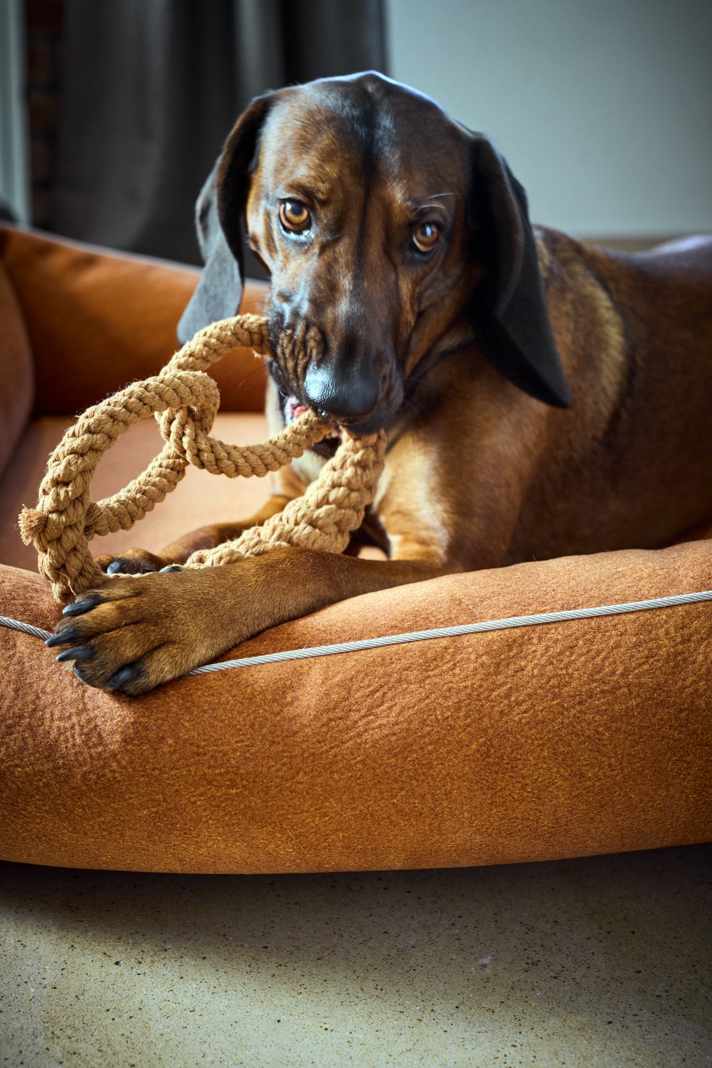 Hundespielzeug Britta Brezel