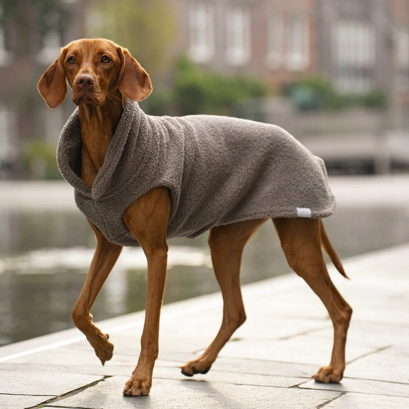 Hundepullover CosyShirt Stay Warm Teddy Taupe