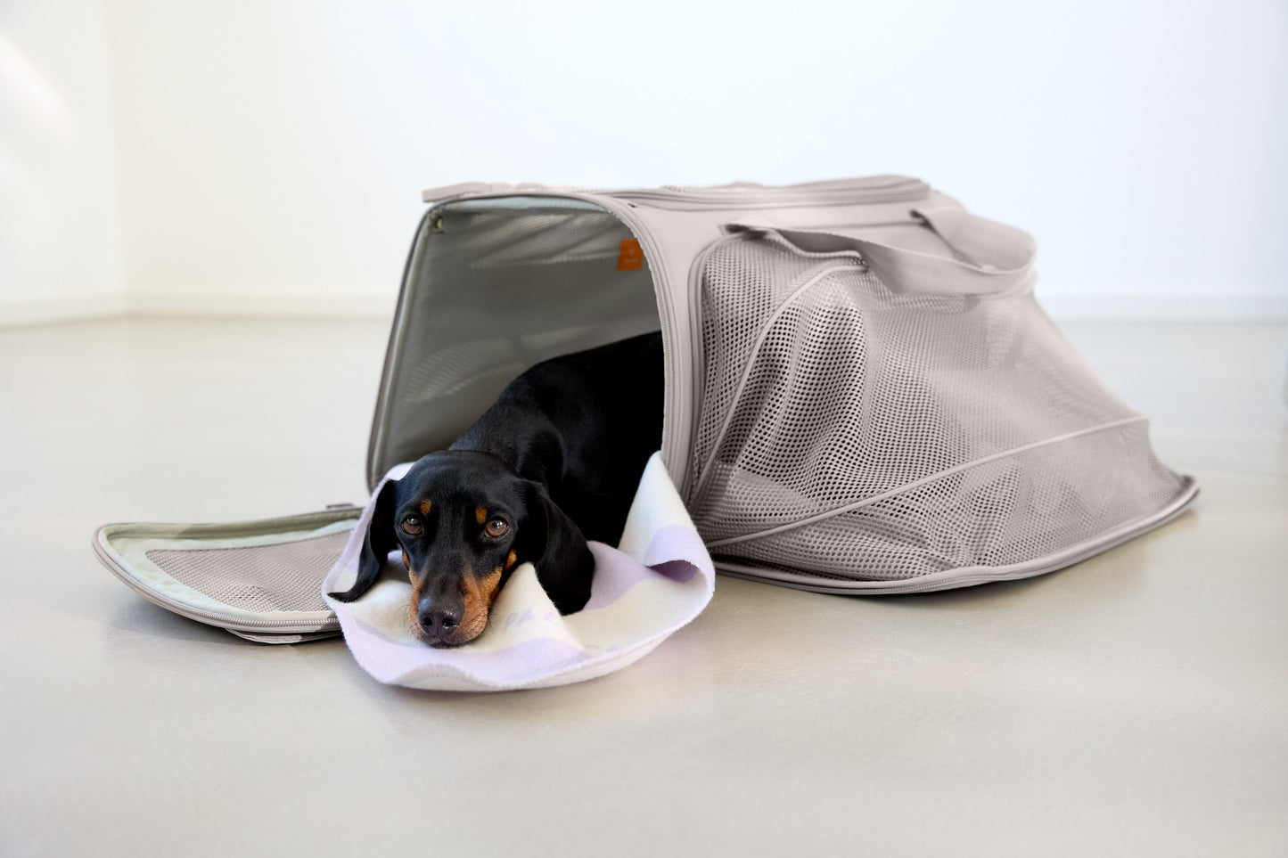 Hundetragetasche Benno Taupe