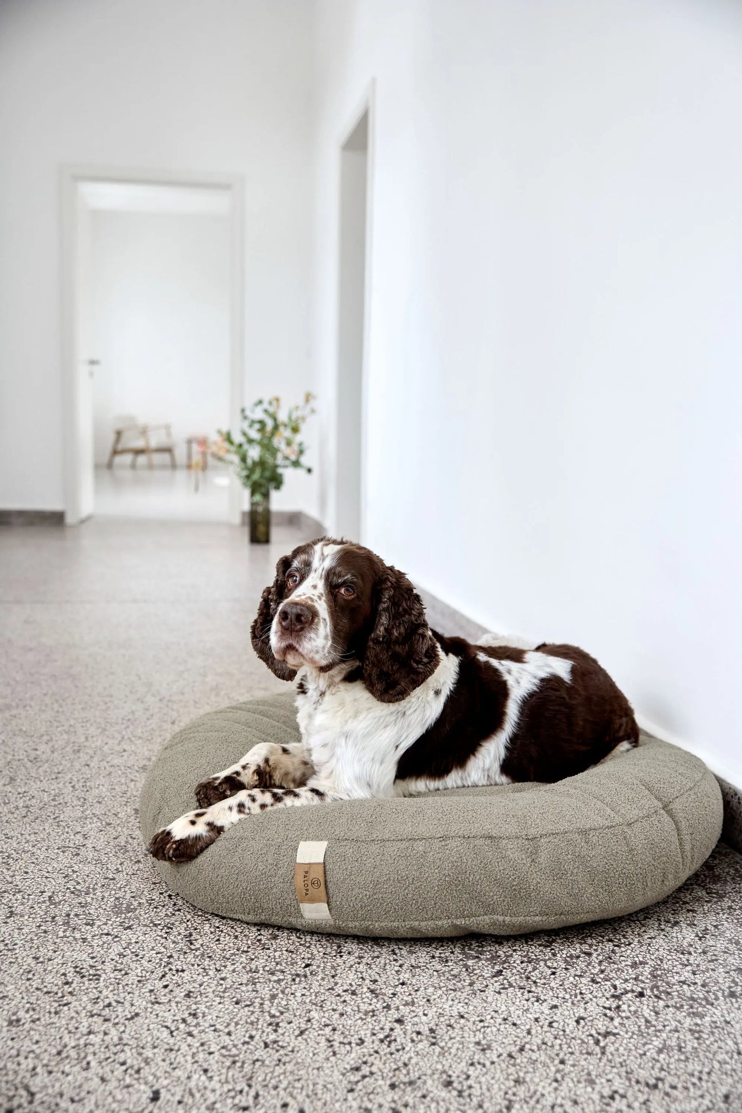 Hundebett Donut Fippa Grau