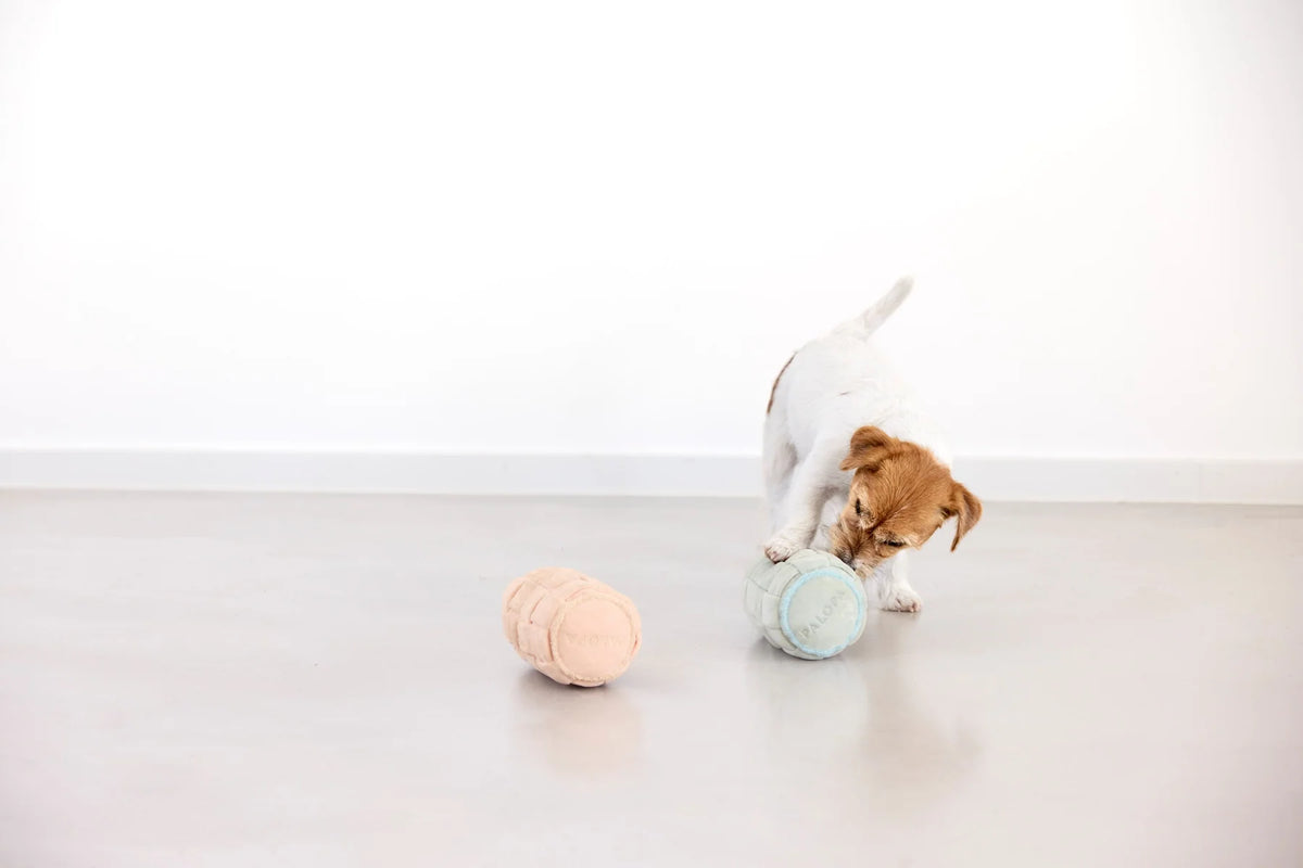 Schnüffelspielzeug Kalpi Peach