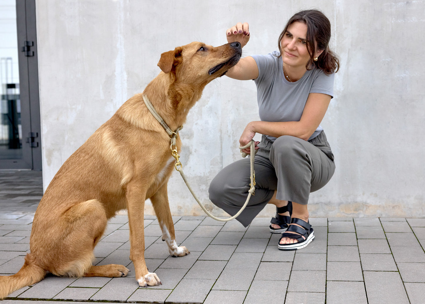 Leinen-Halsband-Set Mila Natur Slim