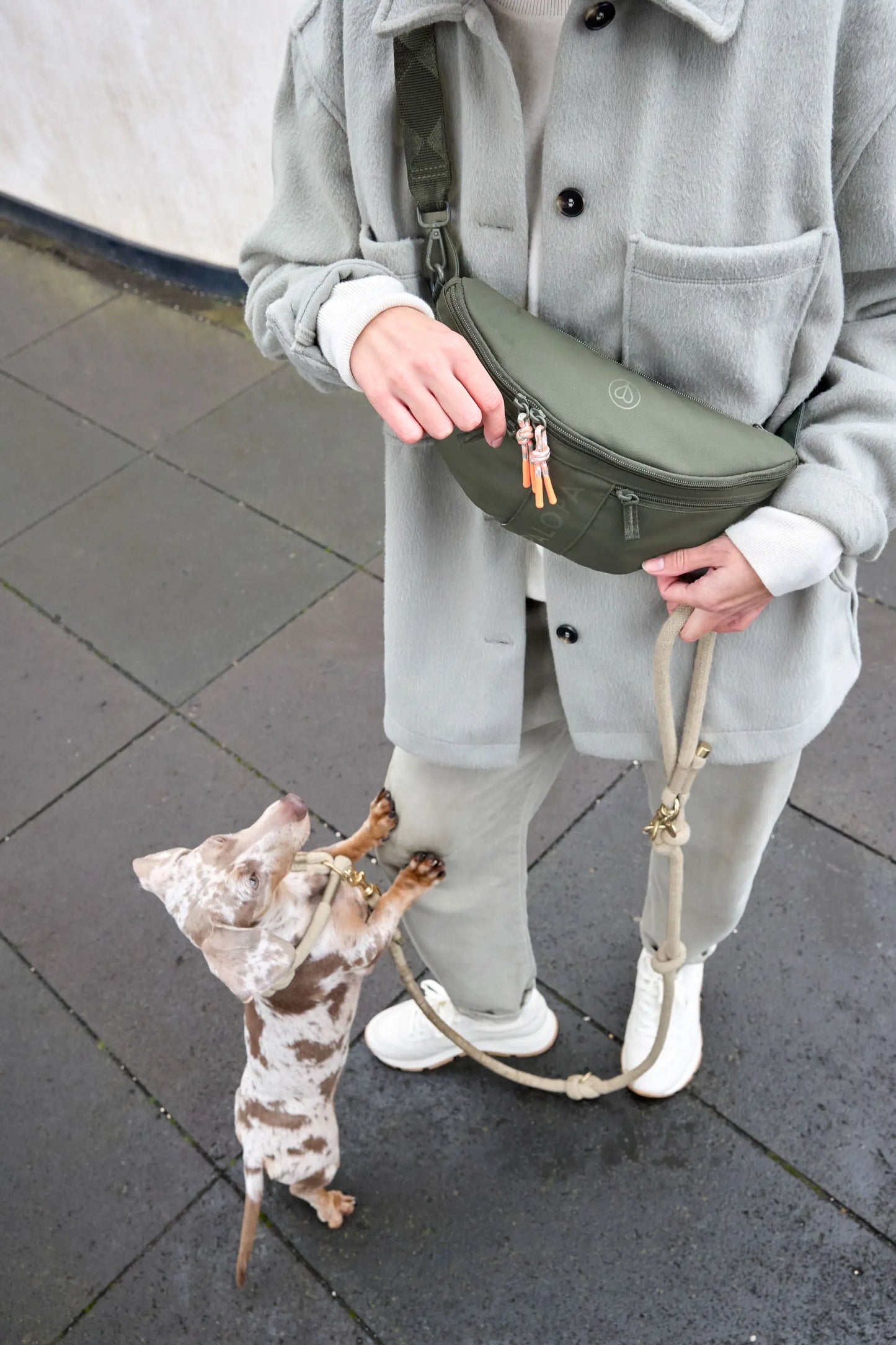 Leckerlitasche Emma Dunkelgrün