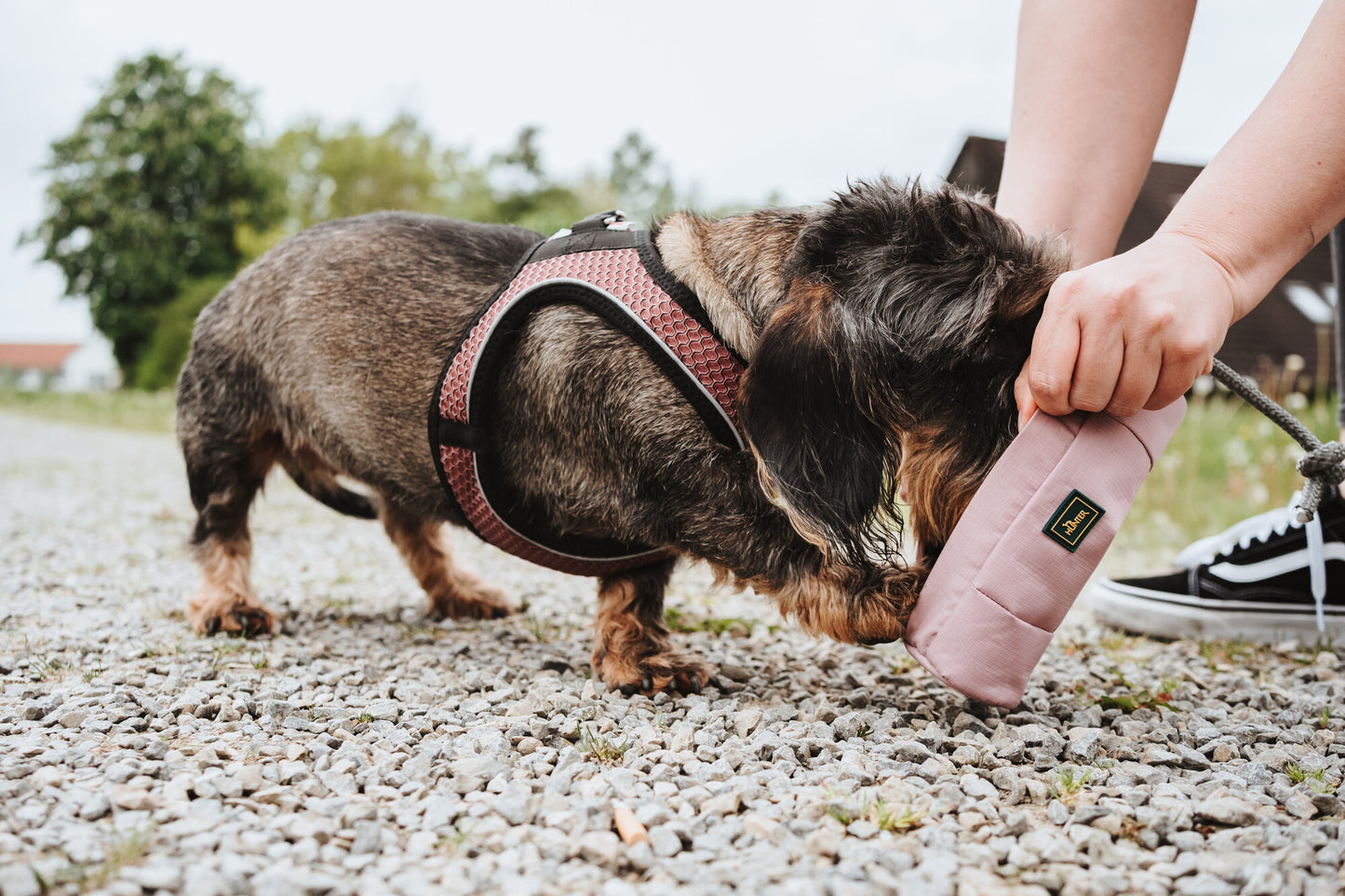 Trainer Snack Dummy mit Seil Altrosa