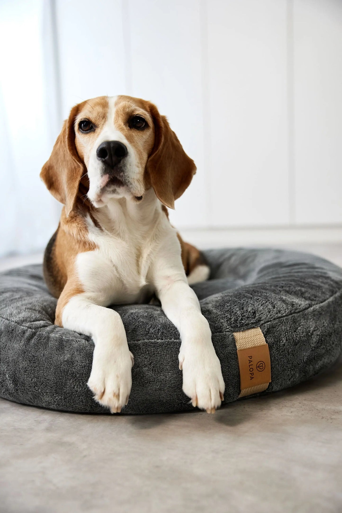 Hundebett Donut Fippa Anthrazit