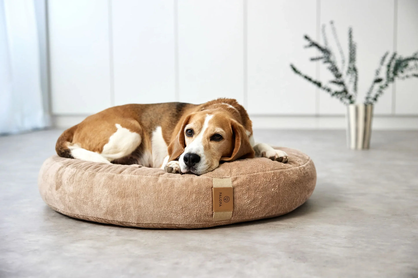 Hundebett Donut Fippa Humus