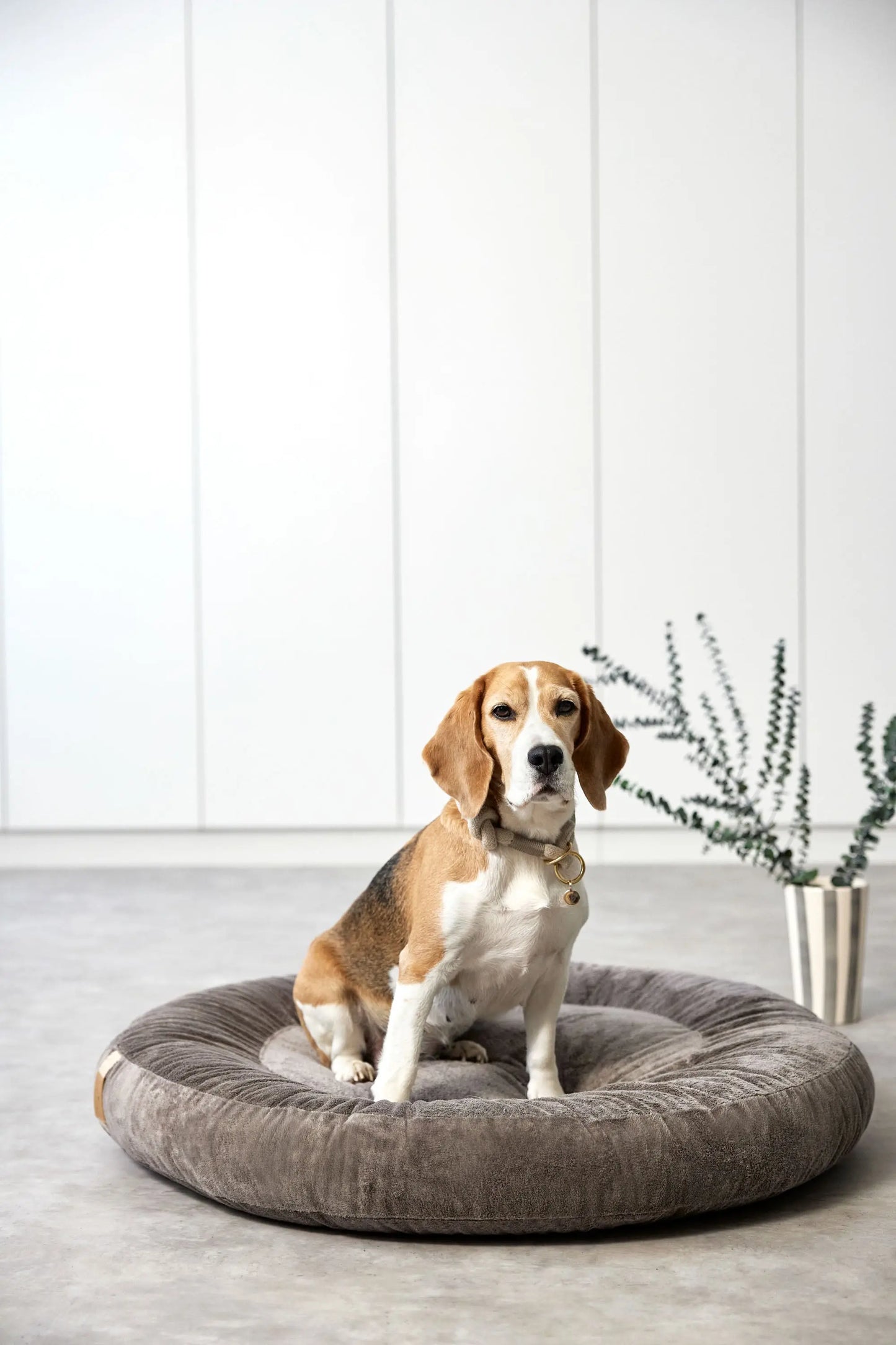 Hundebett Donut Fippa Taupe