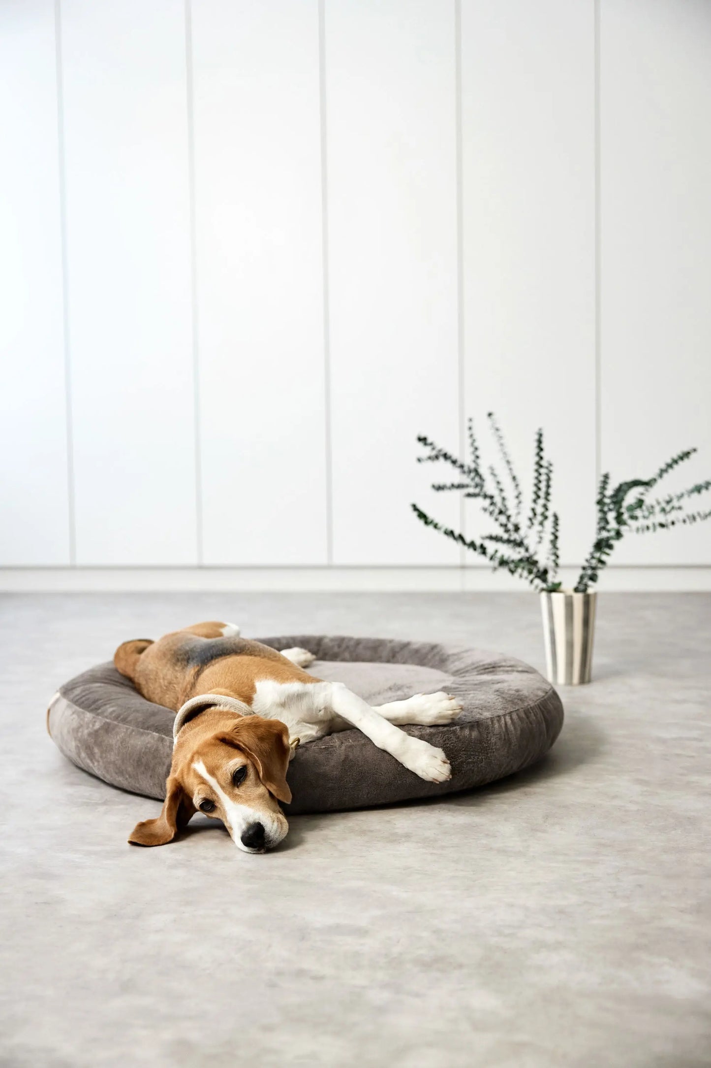 Hundebett Donut Fippa Taupe