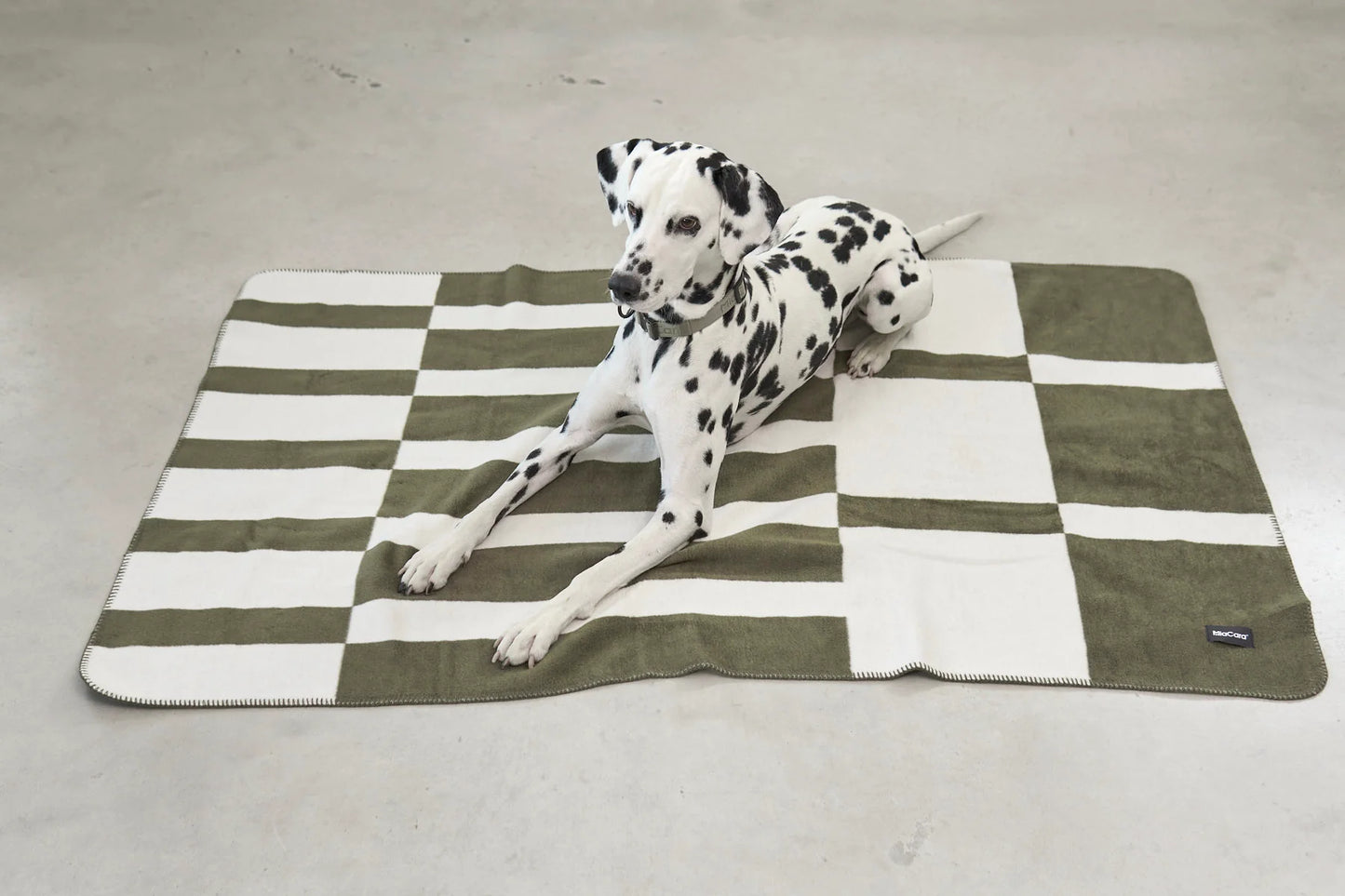 Hundedecke Blocco Grolive