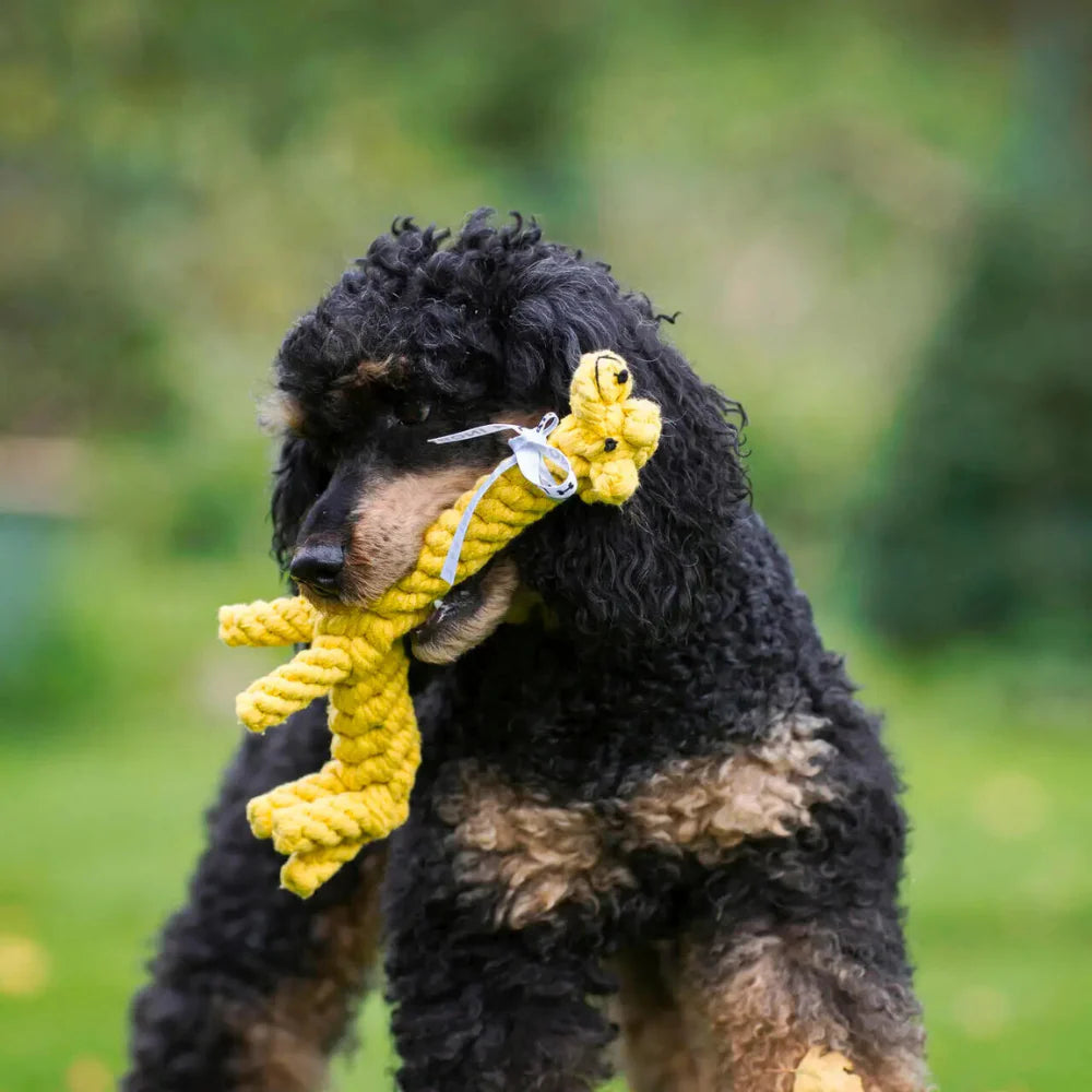 Hundespielzeug Greta Giraffe