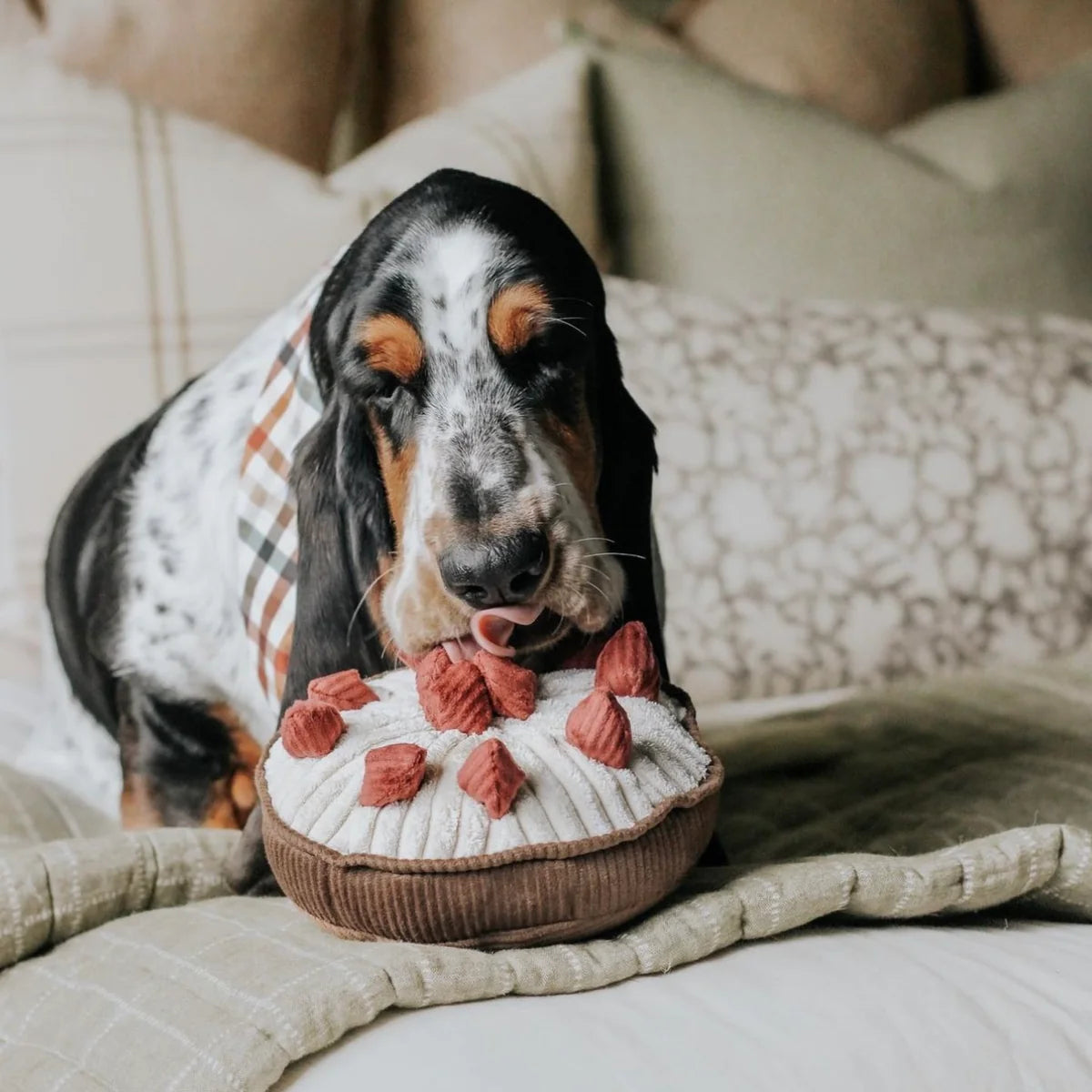 Hundespielzeug Schnüffelkuchen Berry Pie