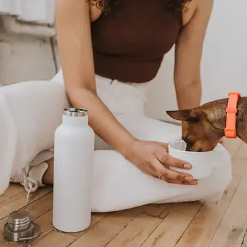 Reiseisoliertrinkflasche für Hunde Dog & Me 710 ml White