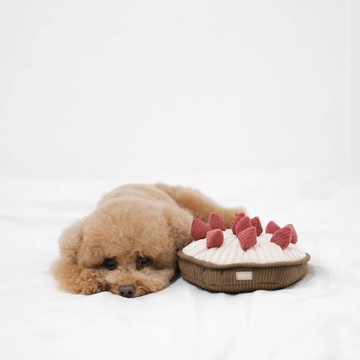 Hundespielzeug Schnüffelkuchen Berry Pie