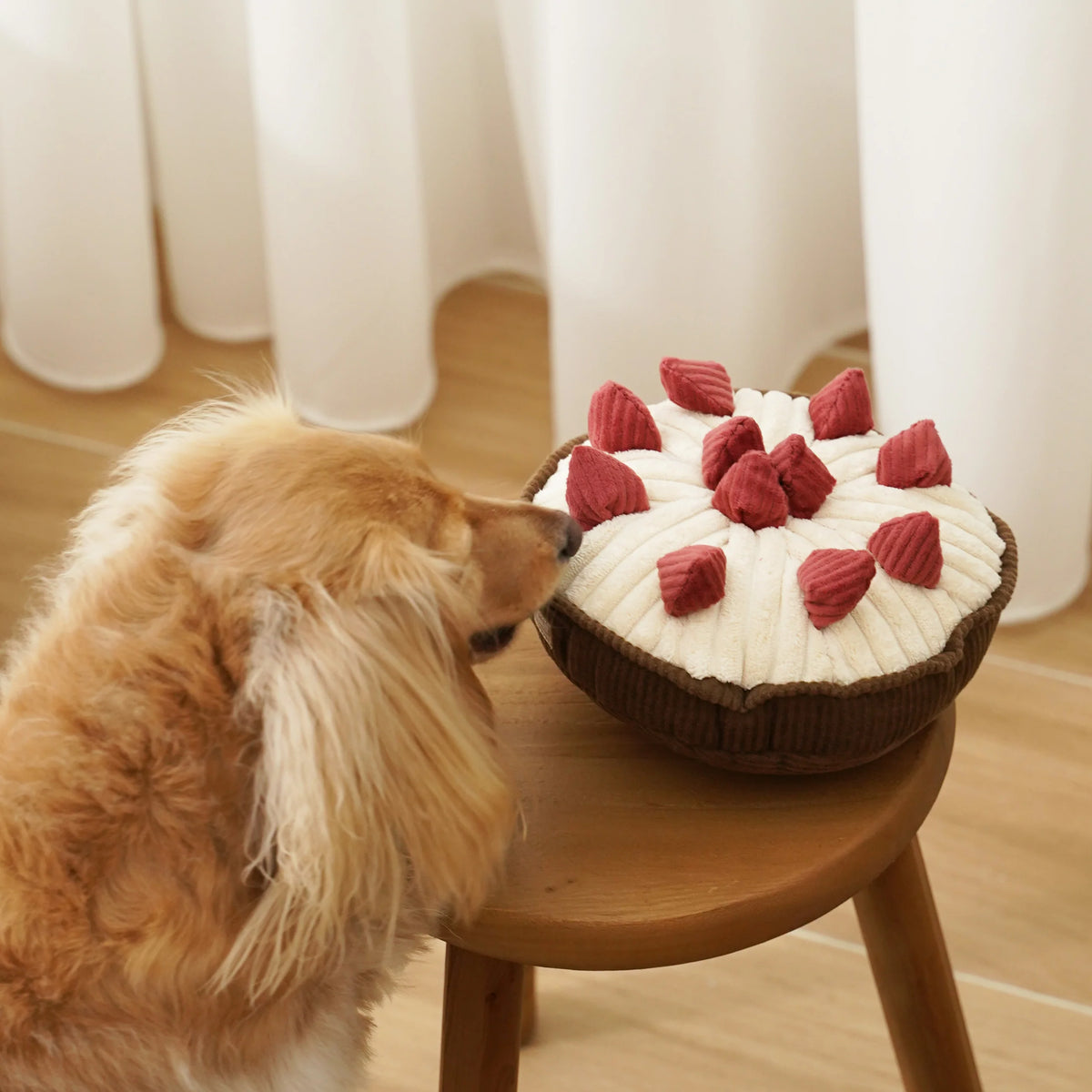 Hundespielzeug Schnüffelkuchen Berry Pie
