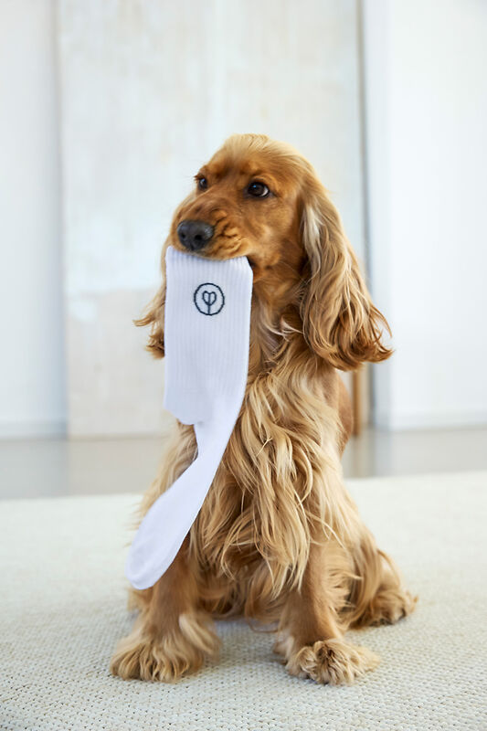 Tennis Socken Logo 3er-Set Orange/Blue/Grey