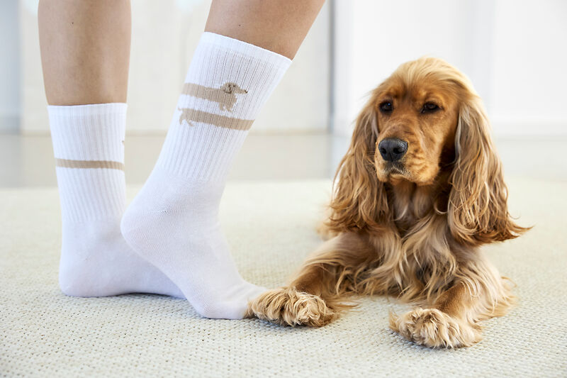 Tennis Socken Long Badger Dog