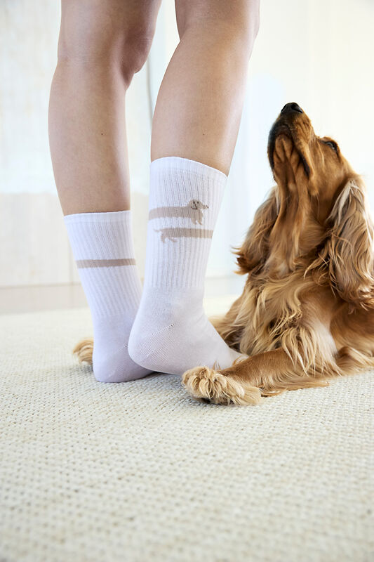Tennis Socken Long Badger Dog