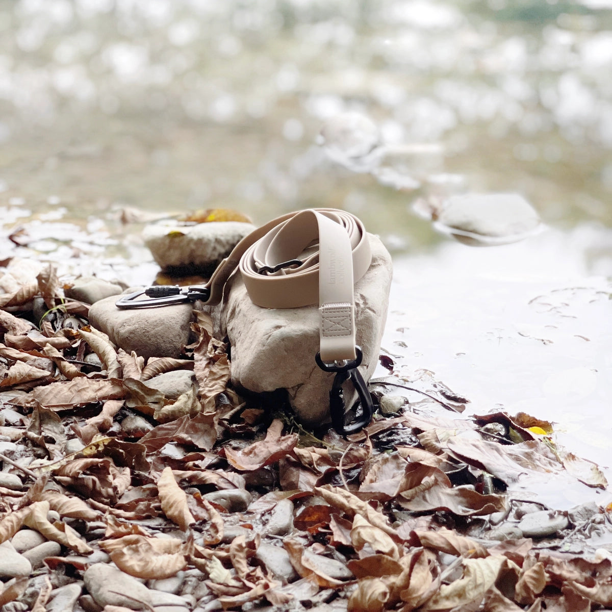 Hundeleine Mellem Black