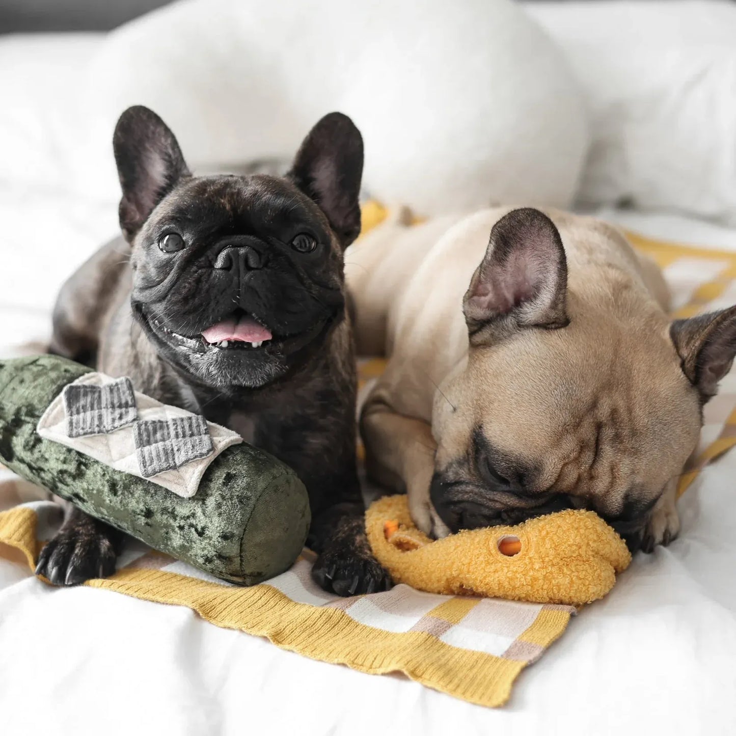 Hundespielzeug Merlot