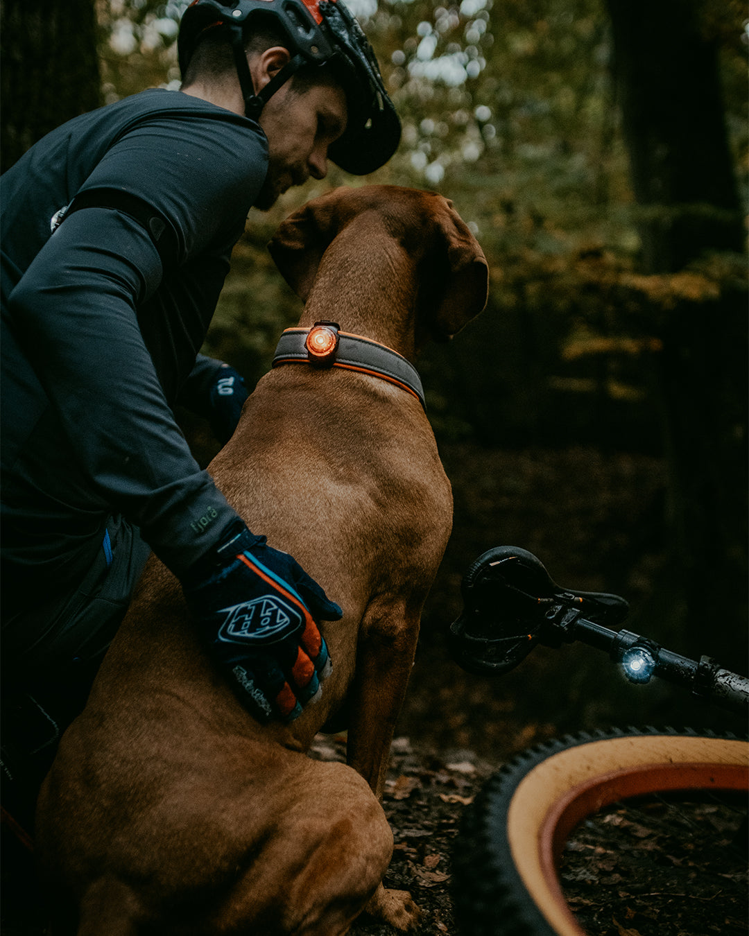 Sicherheitslicht Dog Dual K9 Active Pack