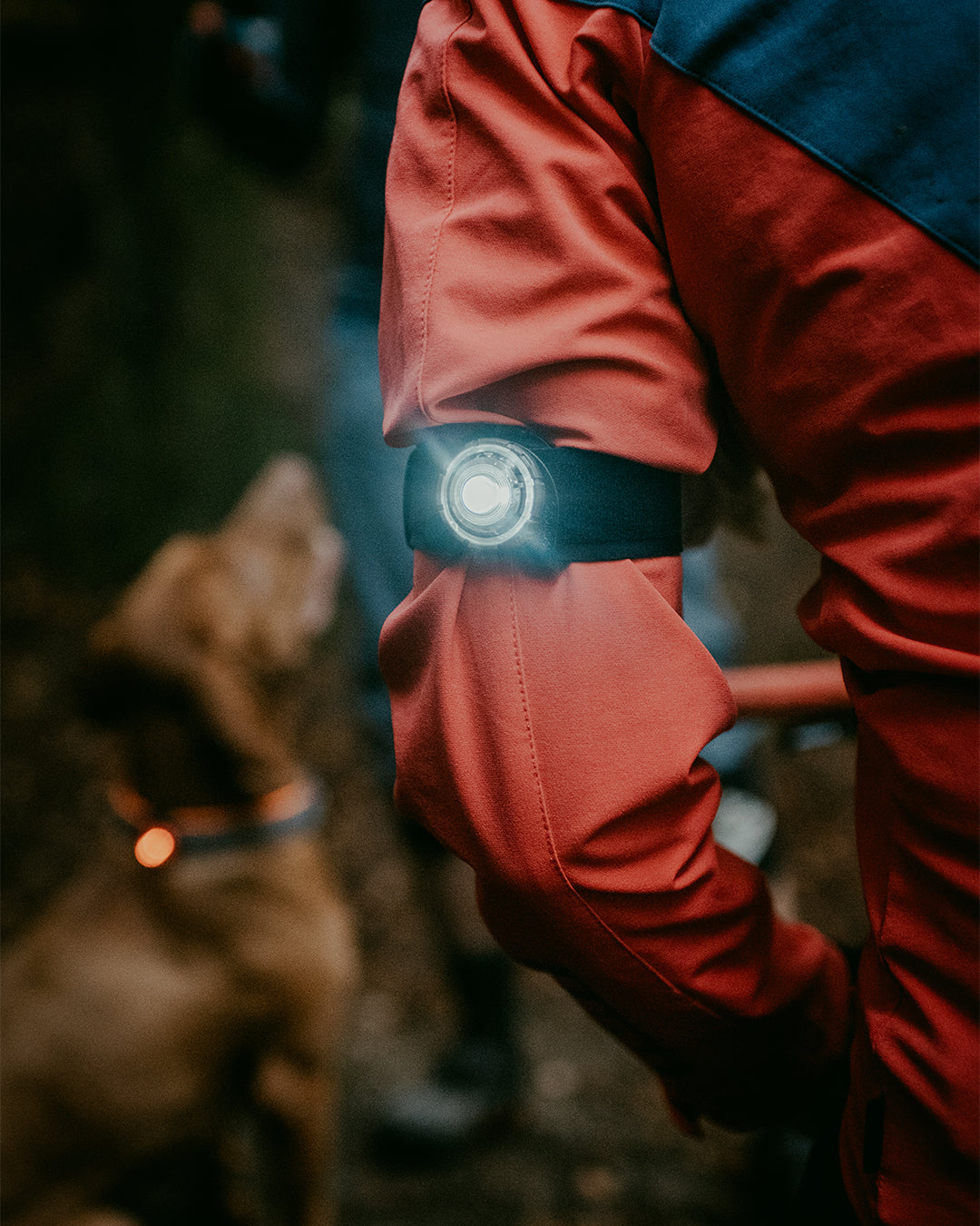 Sicherheitslicht Dog Dual K9 Active Pack