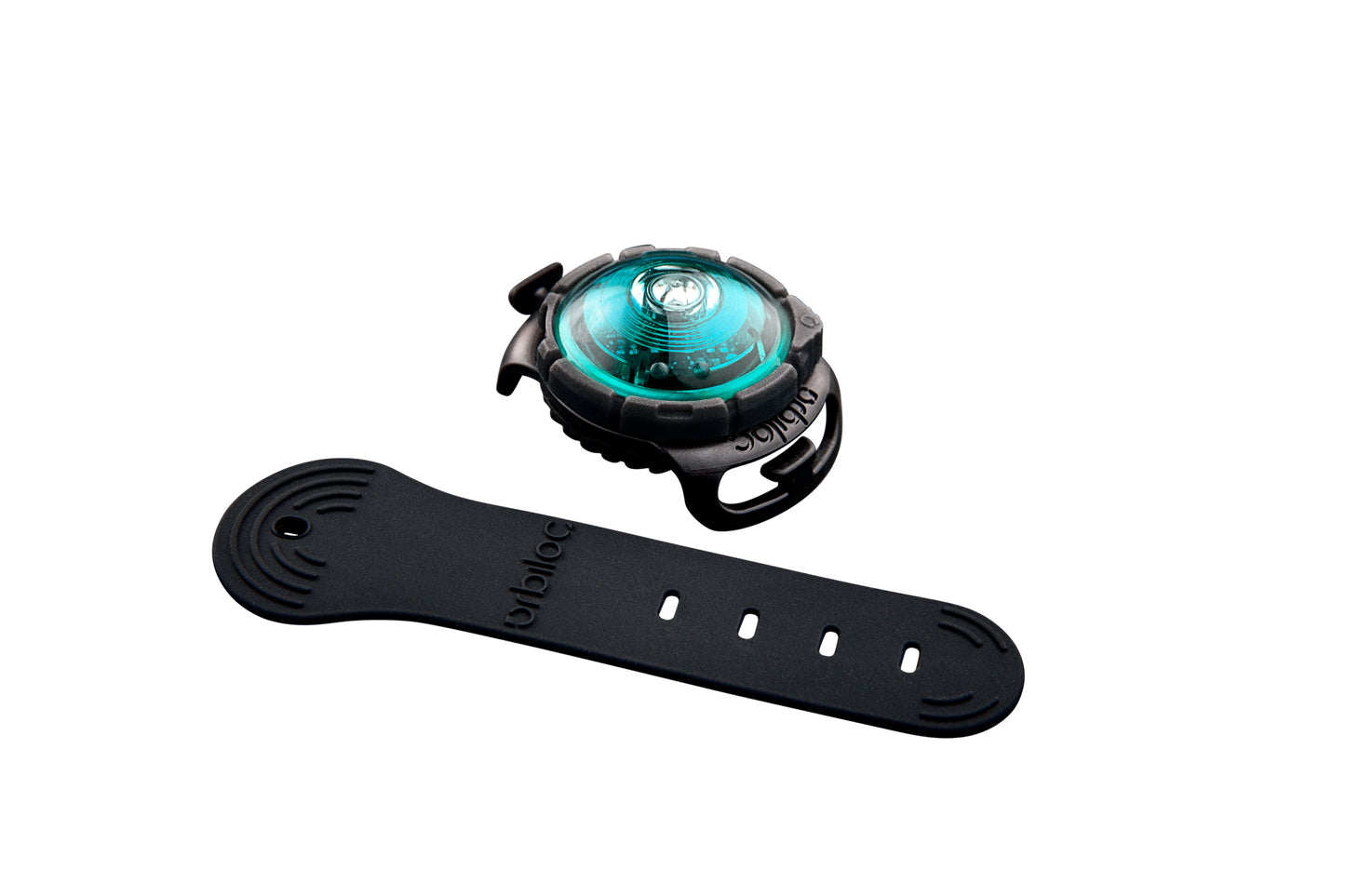 Sicherheitslicht Dog Dual Turquoise