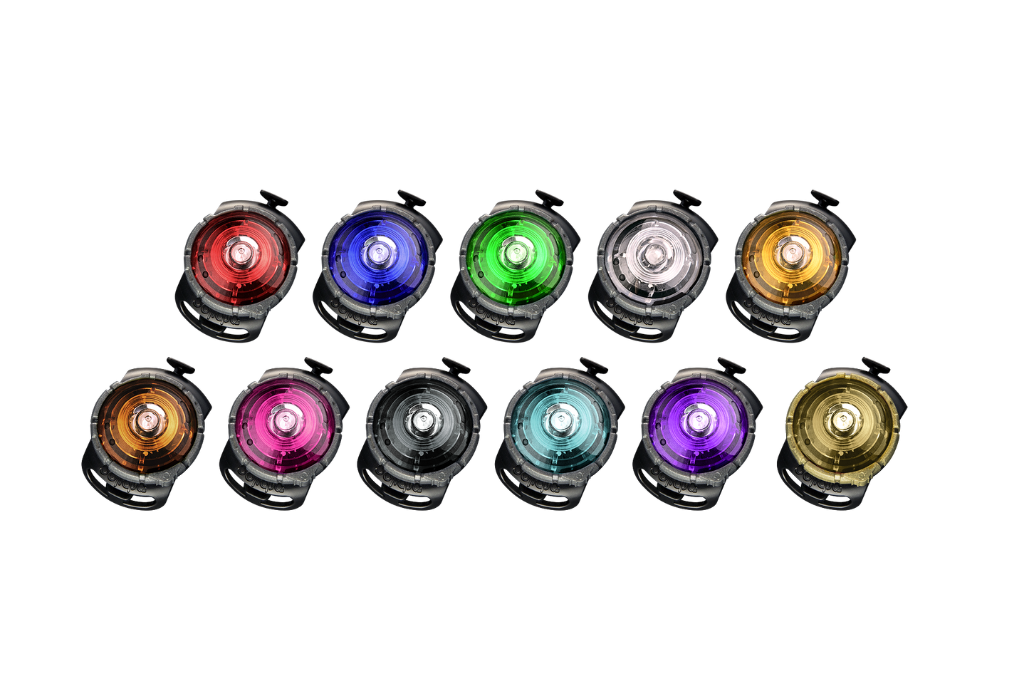 Sicherheitslicht Dog Dual Purple