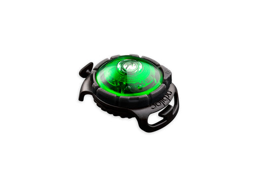 Sicherheitslicht Dog Dual Green