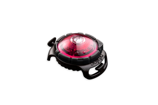 Sicherheitslicht Dog Dual Pink