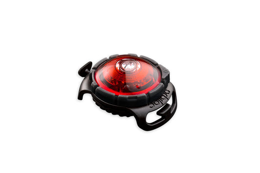 Sicherheitslicht Dog Dual Red