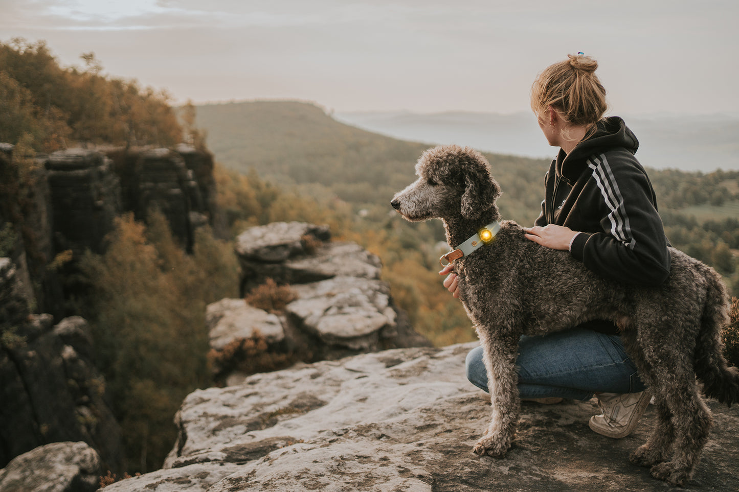 Sicherheitslicht Dog Dual Yellow