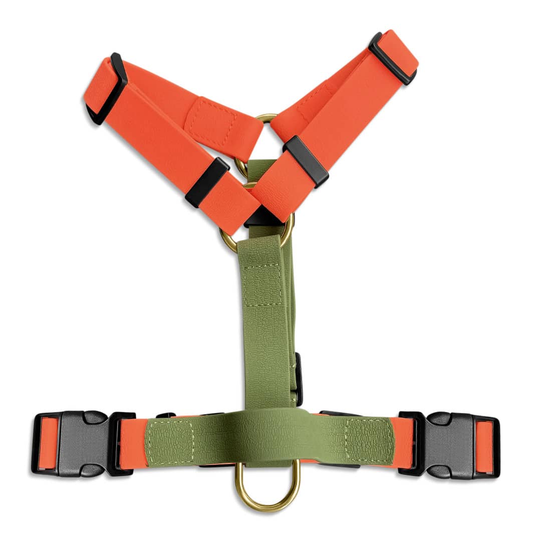 Hundegeschirr Outdoor Flex mit Haltegriff Orange/Grün